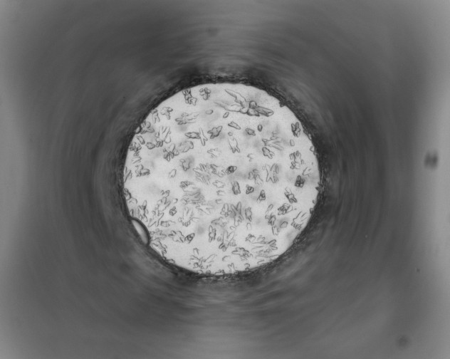 X0000101110817200807241133