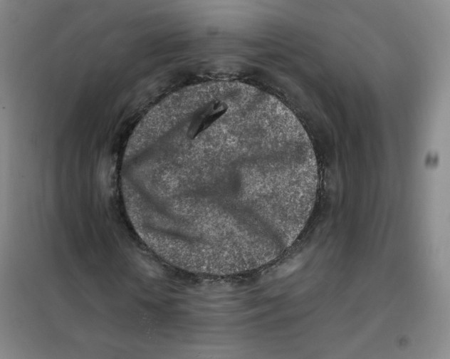 X0000101110818200807241133