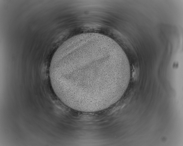 X0000101110819200807241133