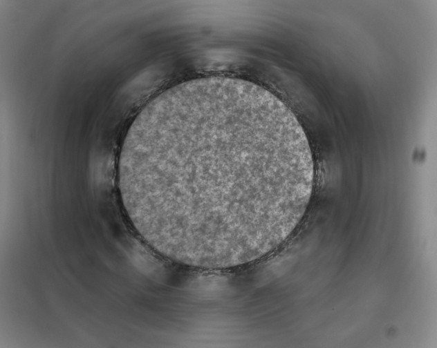 X0000101110820200807241133