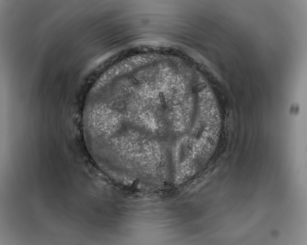 X0000101110822200807241133
