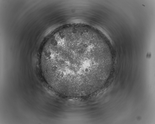 X0000101110823200807241133