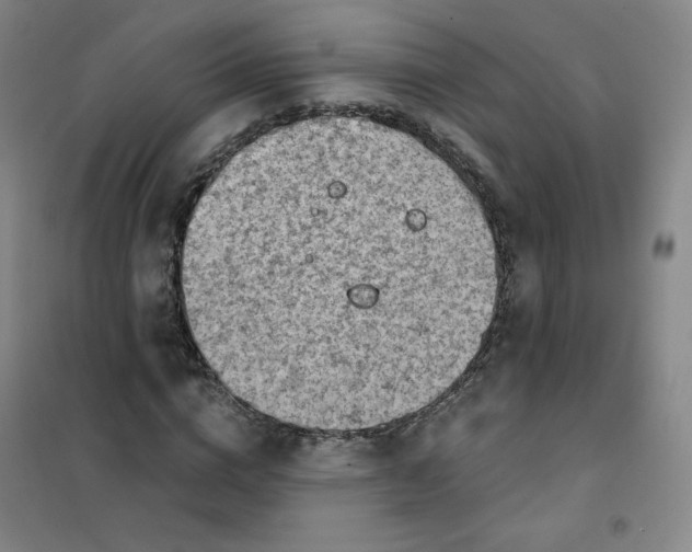 X0000101110824200807241133