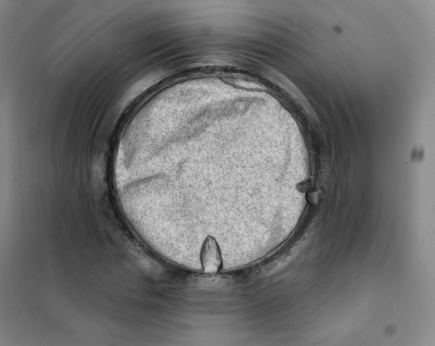 X0000101110826200807241133