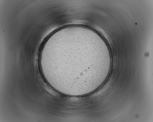 X0000101110827200807241133