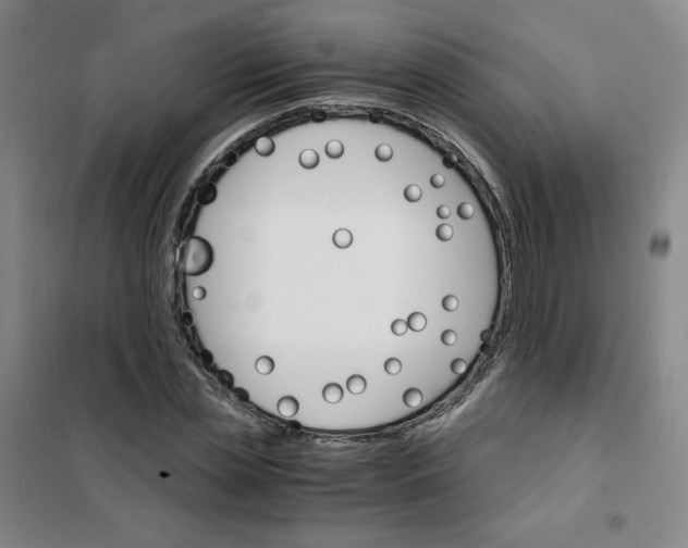 X0000101110829200807241133