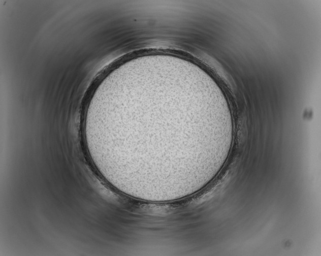 X0000101110831200807241133