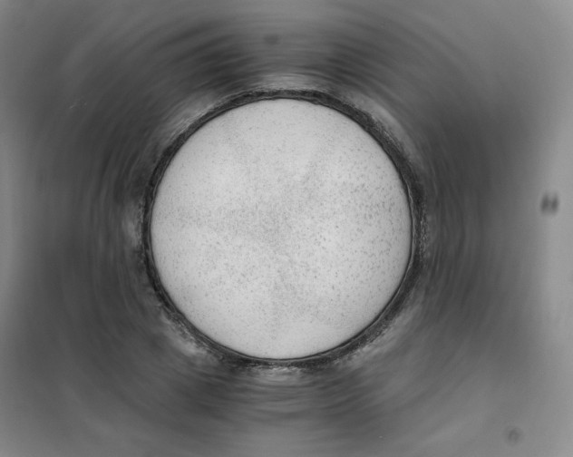 X0000101110833200807241133