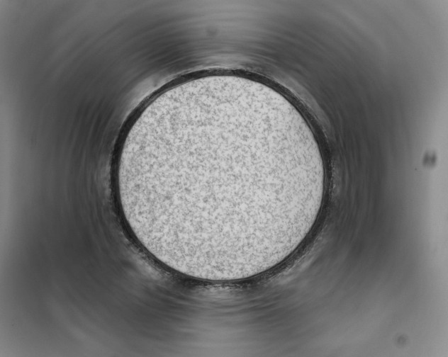 X0000101110834200807241133