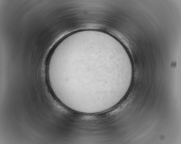 X0000101110835200807241133
