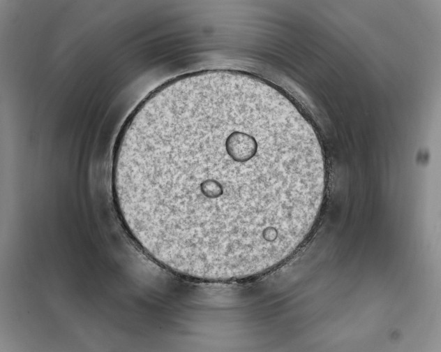 X0000101110836200807241133
