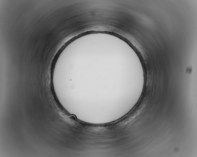 X0000101110837200807241133