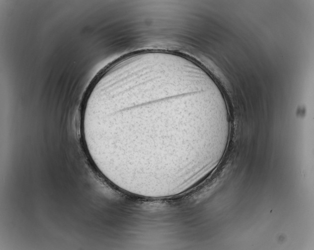 X0000101110838200807241133