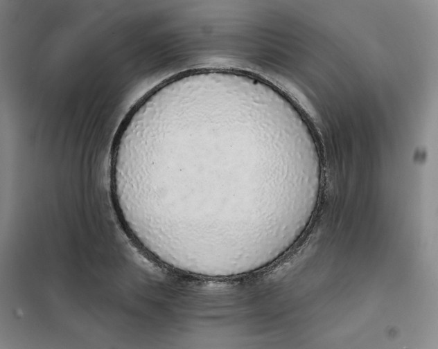 X0000101110839200807241133