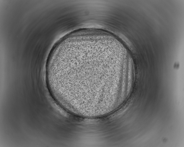 X0000101110840200807241133