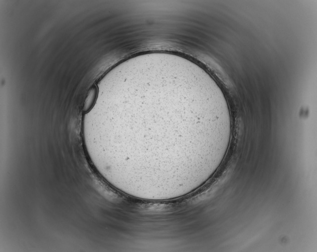 X0000101110841200807241133