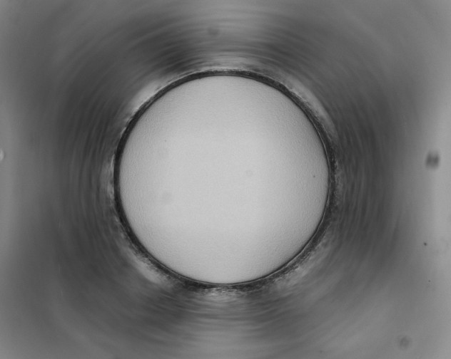 X0000101110842200807241133