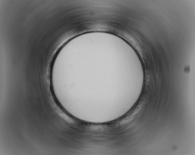 X0000101110843200807241133