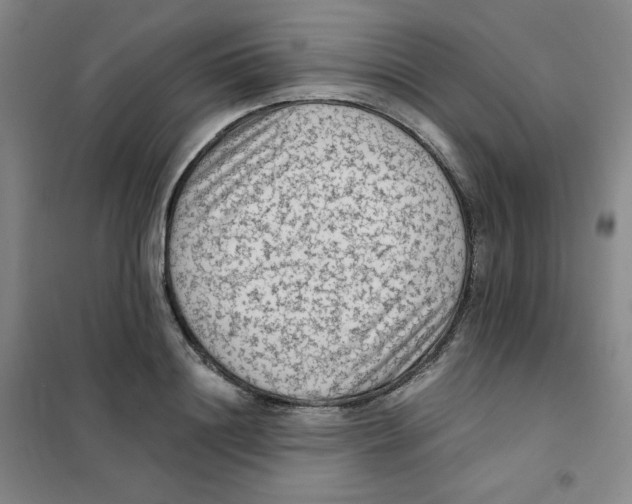 X0000101110844200807241133