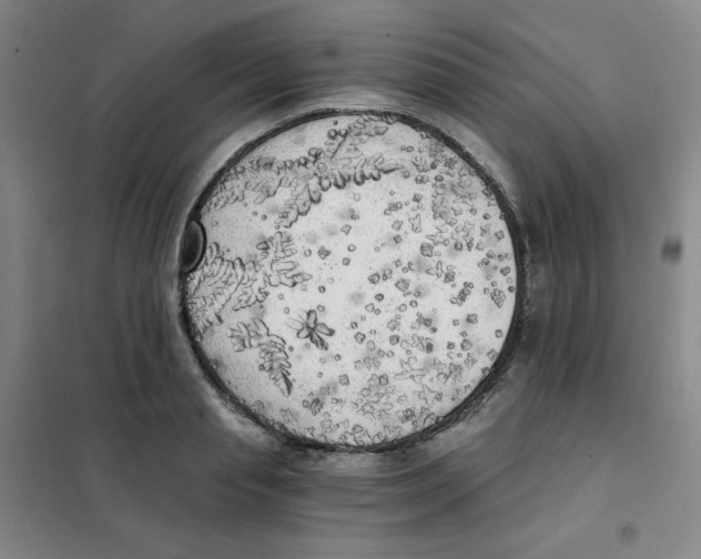 X0000101110845200807241133
