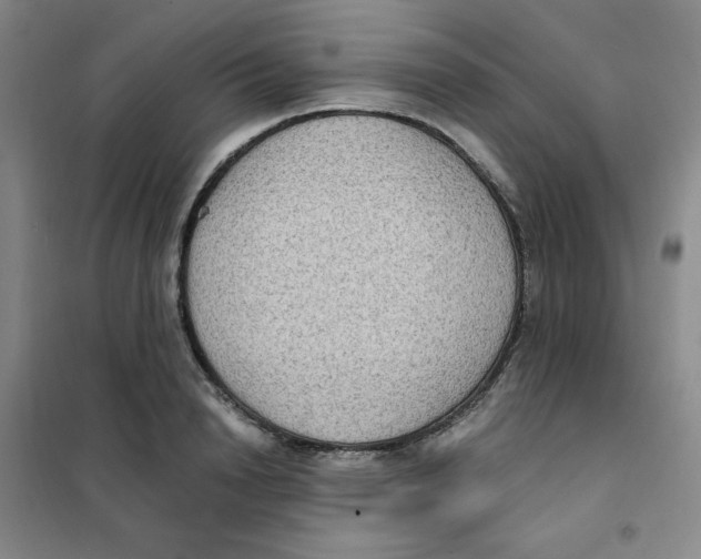 X0000101110846200807241133