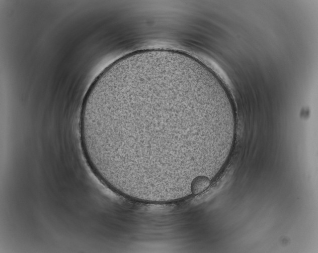X0000101110847200807241133