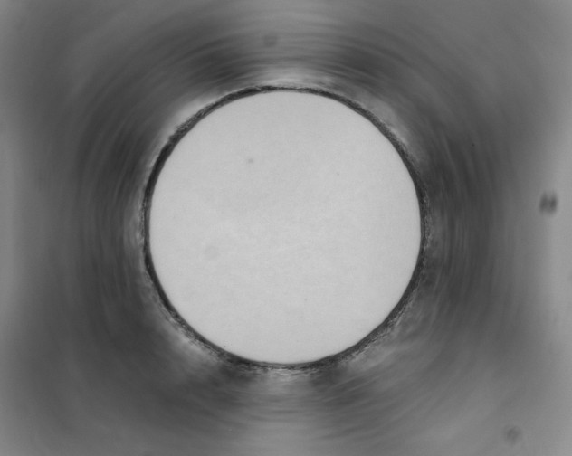 X0000101110848200807241133