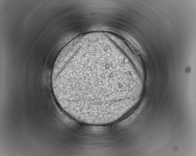 X0000101110849200807241133