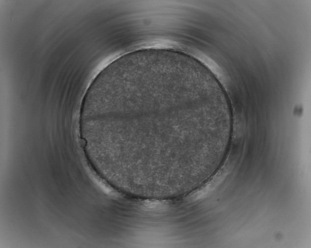X0000101110850200807241133