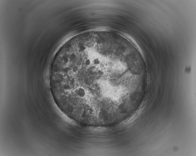 X0000101110851200807241133