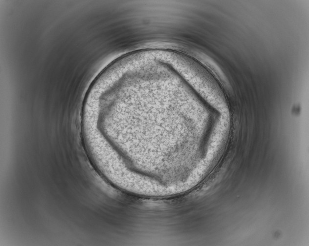 X0000101110852200807241133