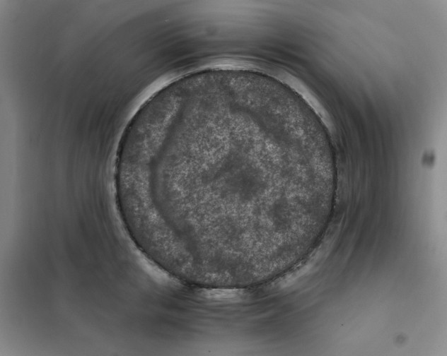 X0000101110853200807241133