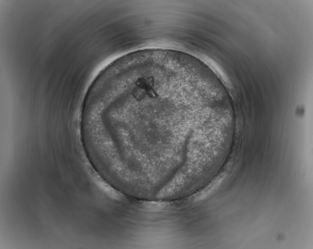 X0000101110854200807241134