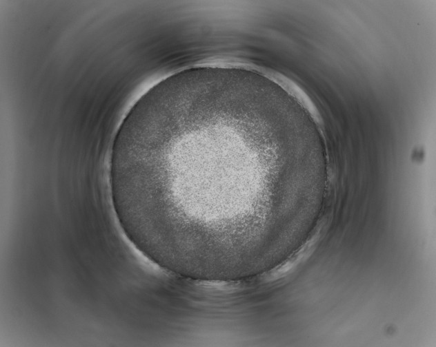 X0000101110855200807241134
