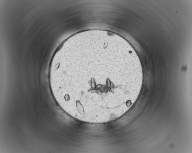 X0000101110856200807241134