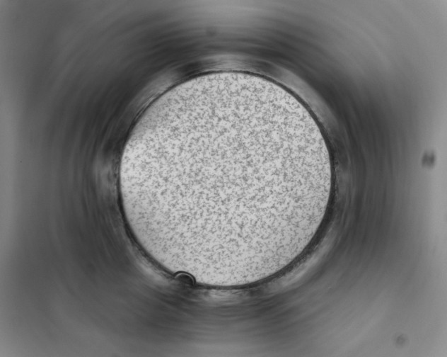 X0000101110857200807241134