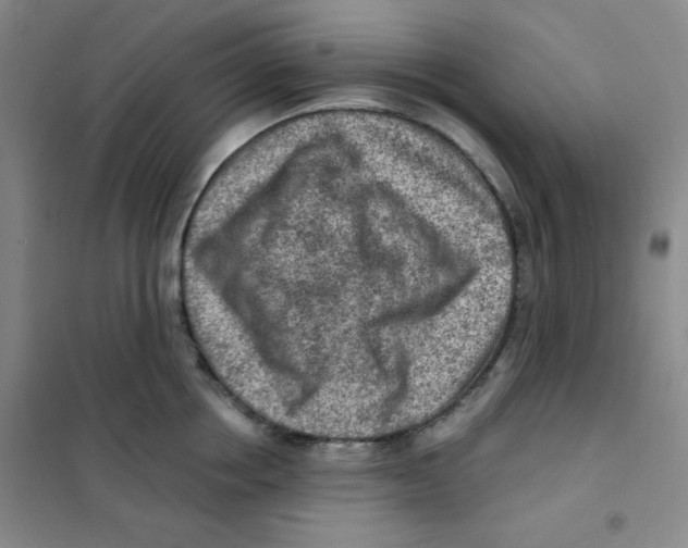 X0000101110858200807241134