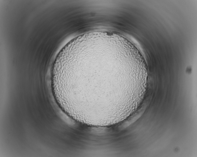 X0000101110859200807241134