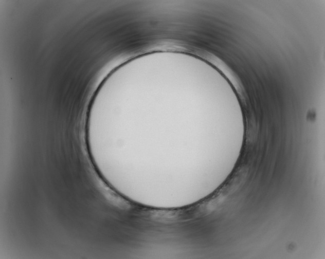 X0000101110861200807241134