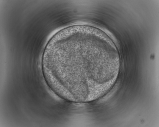 X0000101110862200807241134