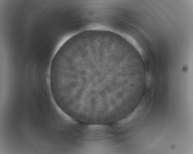 X0000101110863200807241134