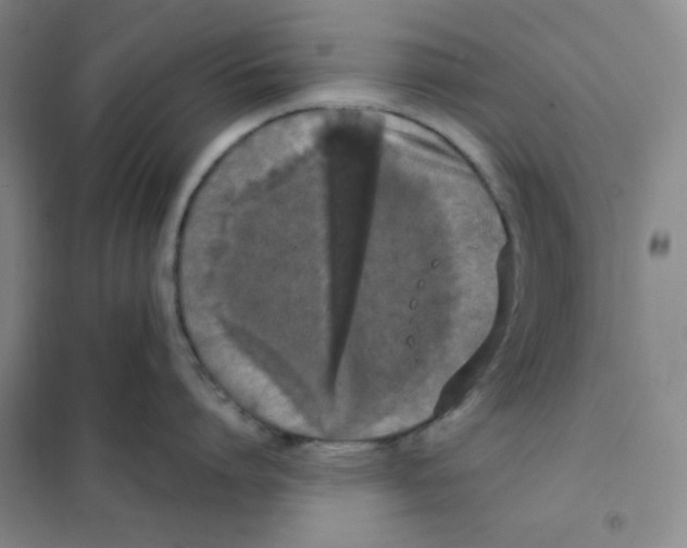 X0000101110864200807241134