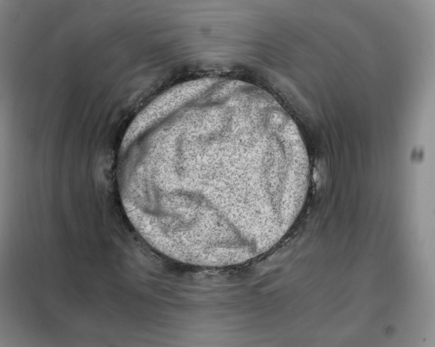 X0000101110867200807241133