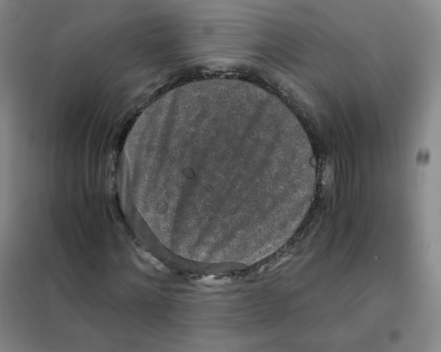 X0000101110868200807241133