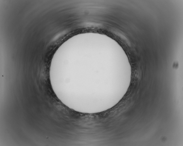 X0000101110869200807241133
