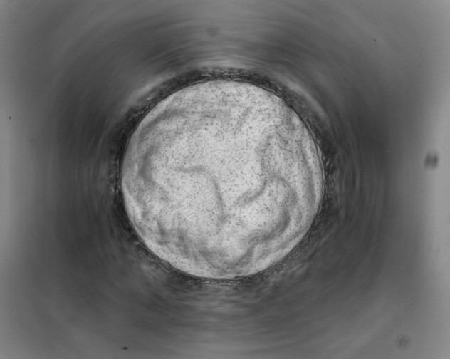 X0000101110870200807241133
