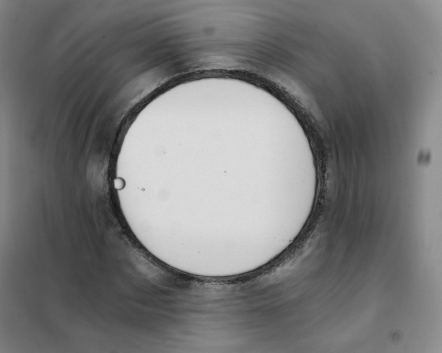 X0000101110873200807241133