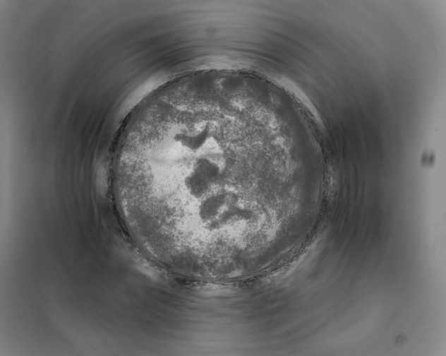 X0000101110874200807241133