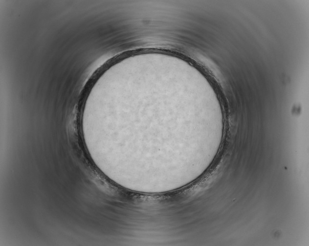 X0000101110875200807241133