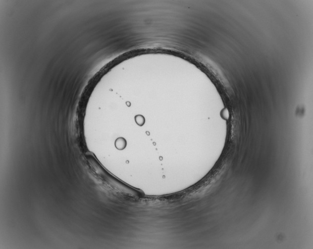 X0000101110876200807241133
